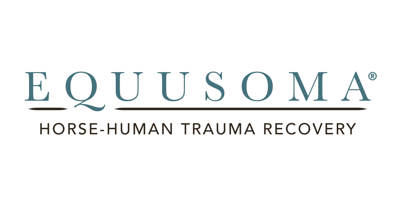 EQUUSOMA Training